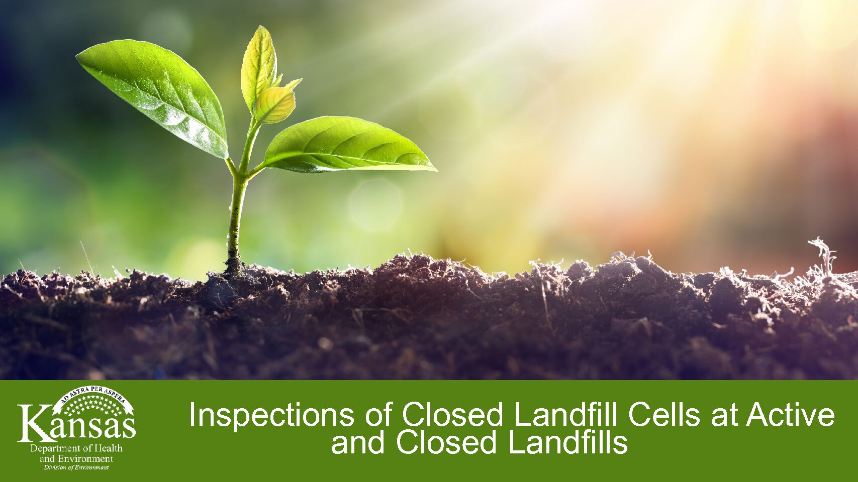 2025 Holiday Social - AWMA & AHMP